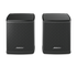 Bose