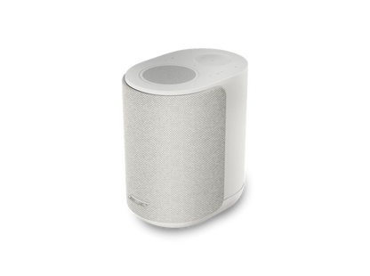 Bose Lifestyle Ultra Speaker