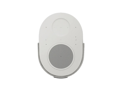Bose Lifestyle Ultra Speaker