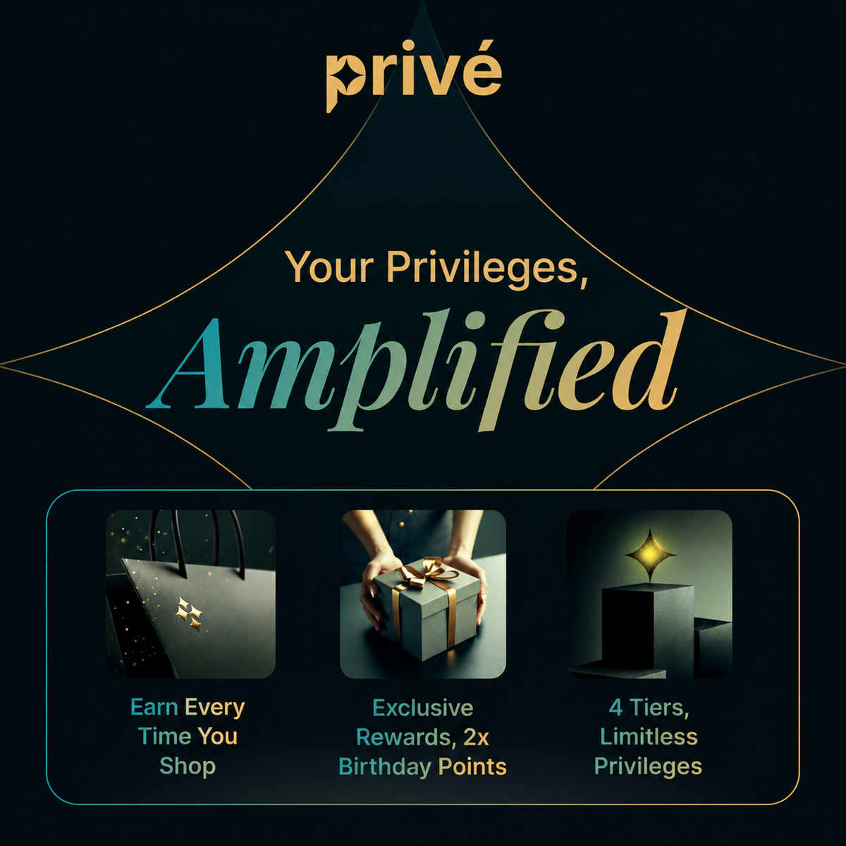 Your Privileges, Amplified